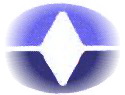 ONLINE COMPUTER SERVICES