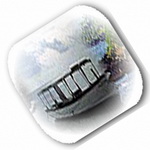 Custom Shipping & Shipping Agents